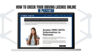 How to Check Your Driving Licence Online in Pakistan